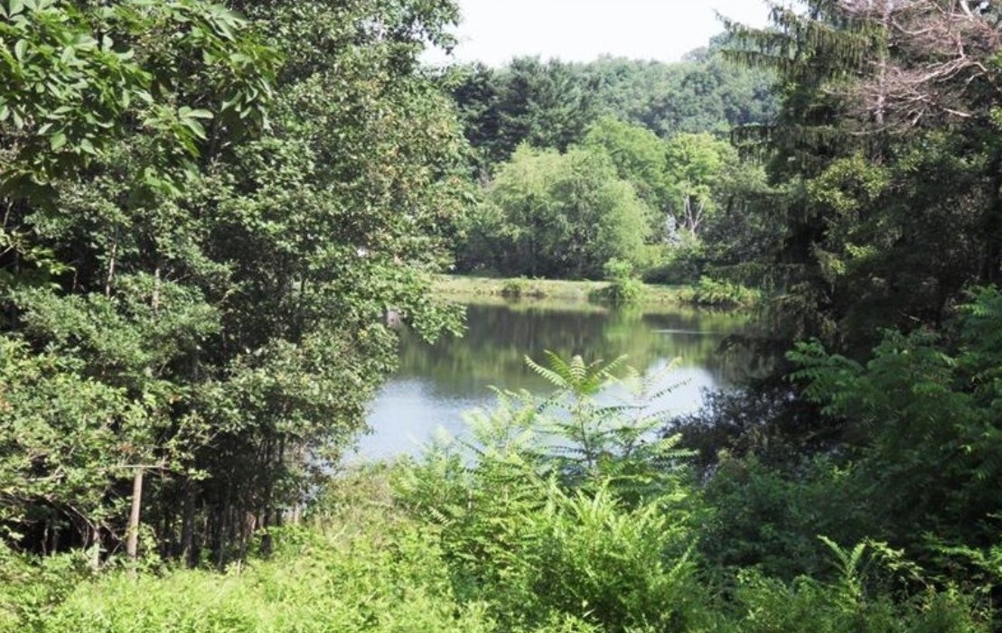 1 Parcel C Rifle Rd, Latrobe, PA à vendre Photo principale– Image 1 sur 8