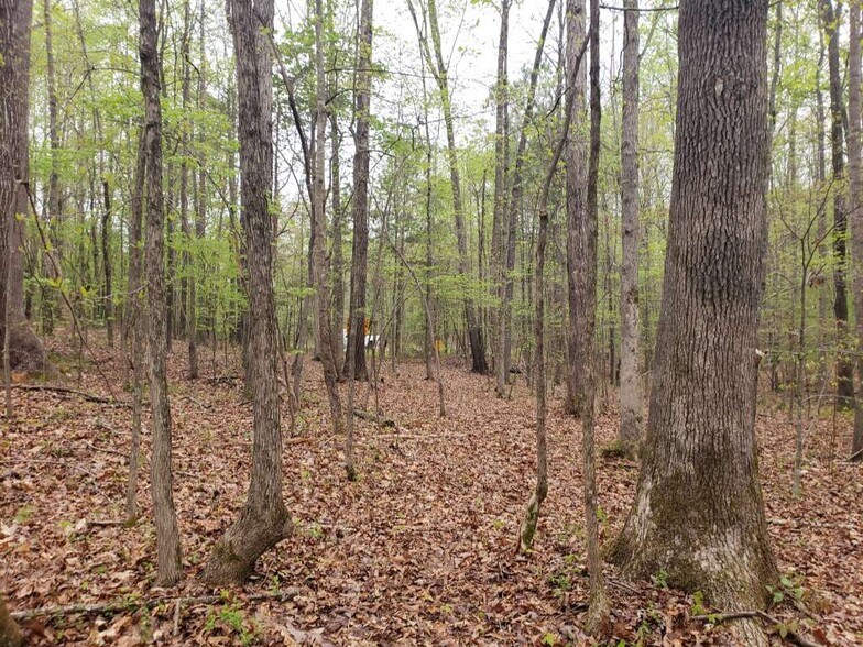 0 Seven Springs Subdivision, Oxford, NC à vendre - Photo de l’immeuble – Image 2 sur 5