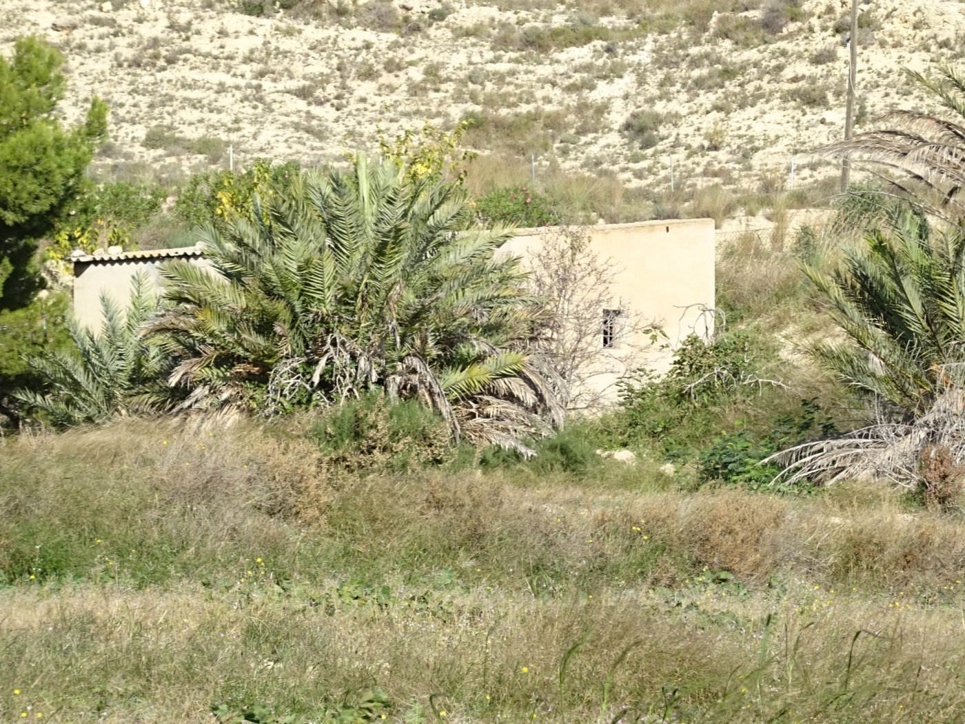 Terrain dans Aspe, Alicante à vendre Photo principale– Image 1 sur 6