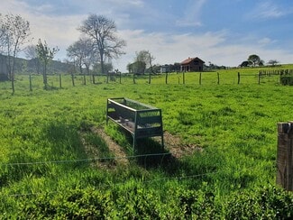 Plus de détails pour Robleu, S/N, Nava - Terrain à vendre