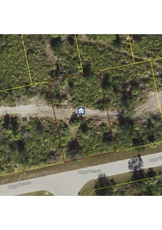 Plus de détails pour 12154 Chamberlain Blvd Port Charlotte FL – Terrain à vendre, Port Charlotte, FL