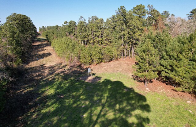 11382 County Road 307, Navasota, TX à vendre - Photo de l’immeuble – Image 3 sur 4