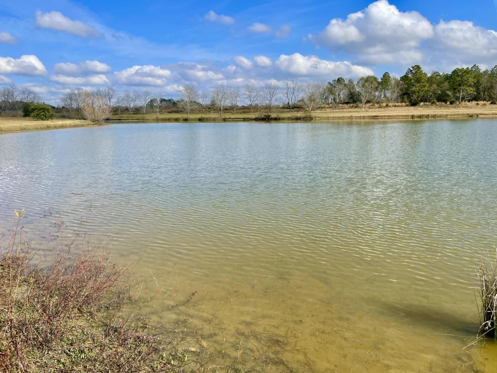 0 County Road 64, Daphne, AL à vendre Photo de l’immeuble– Image 1 sur 34