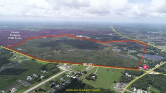 Plus de détails pour 19858 State Road 52, Land O' Lakes, FL - Terrain à vendre
