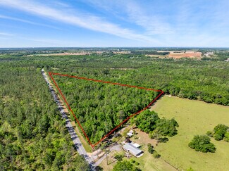 Plus de détails pour 12499-12401 High Plaines Dr, Loxley, AL - Terrain à vendre