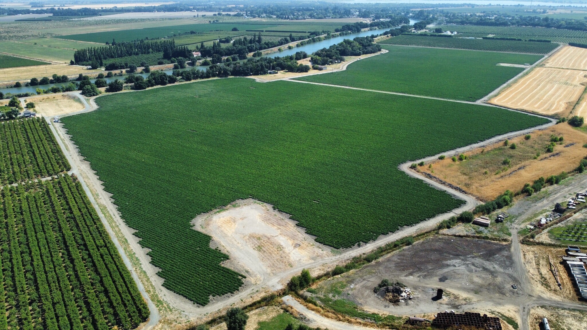 13485 Isleton Rd, Isleton, CA à vendre Aérien– Image 1 sur 9