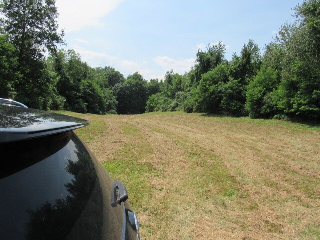 View Photo