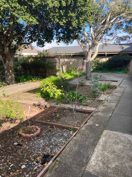 801 Lighthouse Ave, Monterey, CA à louer - Photo de l’immeuble – Image 3 sur 9