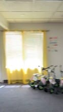 2310 Paseo Del Prado, Las Vegas, NV à louer - Vidéo sur l’annonce professionnelle 