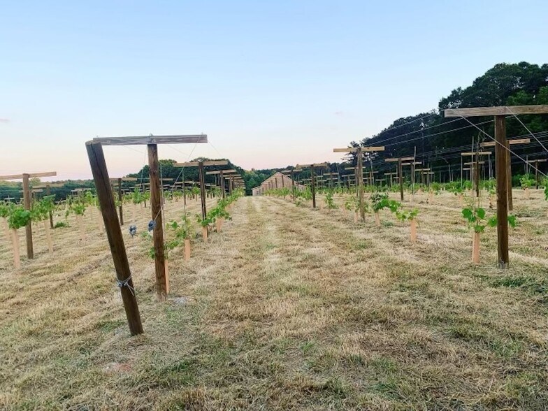 77 Little River Rd, Carrollton, GA à vendre - Photo de l’immeuble – Image 3 sur 12