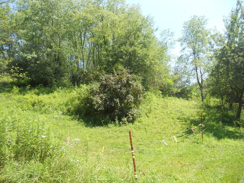 595 Wades Run Rd, Morgantown, WV à vendre - Autre – Image 3 sur 24