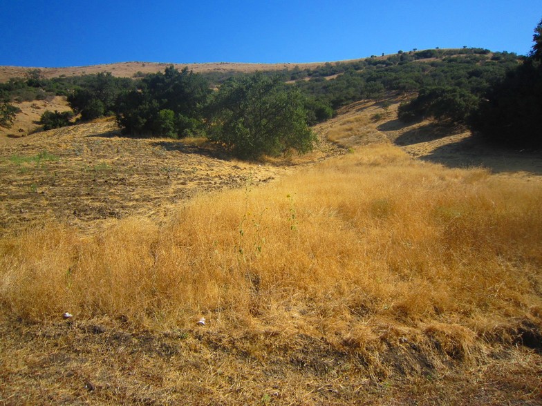 28900 Agoura Rd, Agoura Hills, CA à vendre - Photo de l’immeuble – Image 3 sur 9