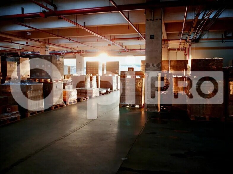 Local d’activités dans Bénesse-Maremne à louer - Photo de l’immeuble – Image 1 sur 1