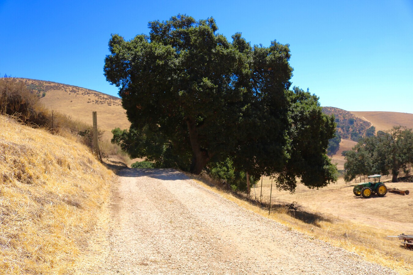 View Photo