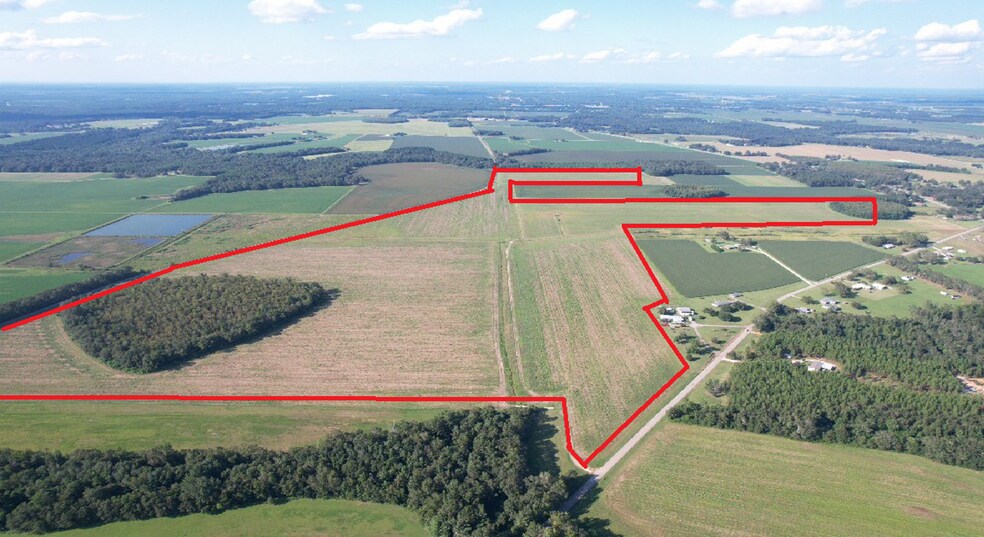 5700 Pine Forest Rd, Walnut Hill, FL à vendre - Photo de l’immeuble – Image 3 sur 47