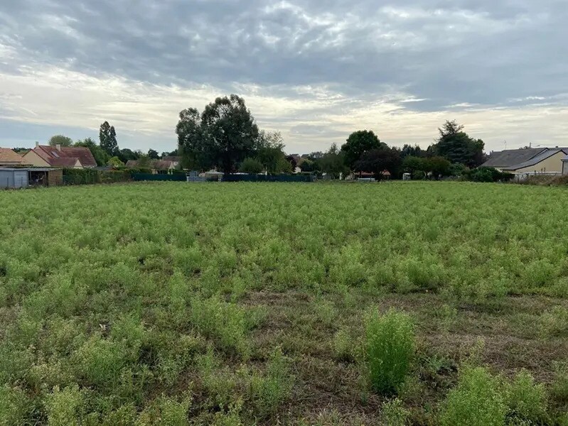 Terrain dans LA CHAPELLE-D'ALIGNE à vendre Plan de site– Image 1 sur 4