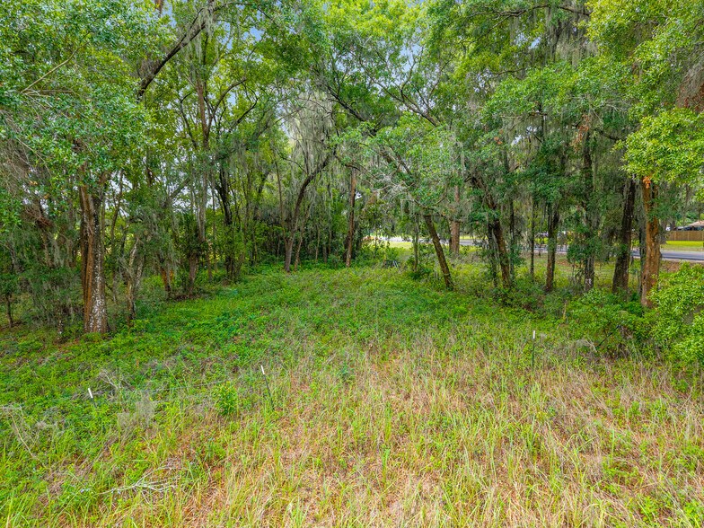 TBD S. Highway 301, Summerfield, FL à vendre - Photo de l’immeuble – Image 2 sur 5