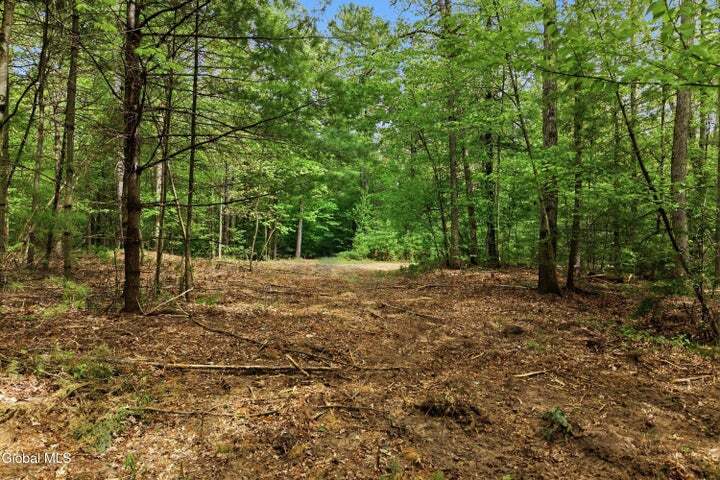 L 20.3 New York 50, Saratoga Springs, NY à vendre - Photo de l’immeuble – Image 2 sur 6