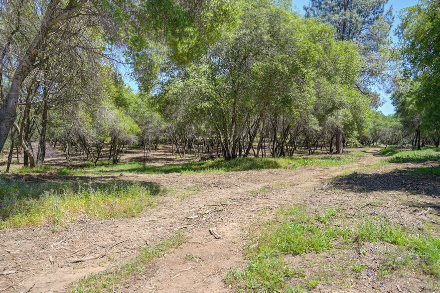 10650 Werner Rd, Auburn, CA à vendre - Photo de l’immeuble – Image 3 sur 21