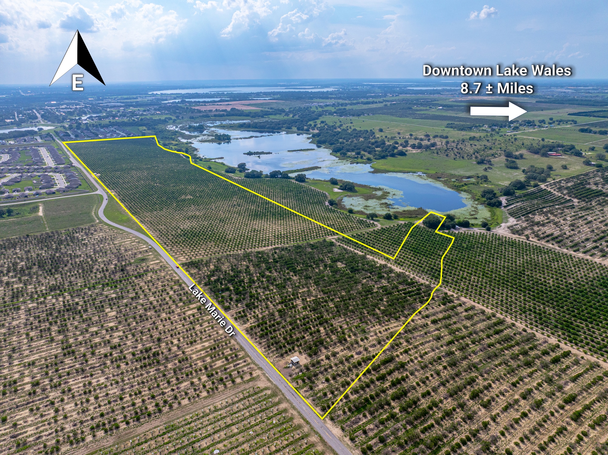 Lake Marie Dr, Dundee, FL à vendre Aérien– Image 1 sur 32