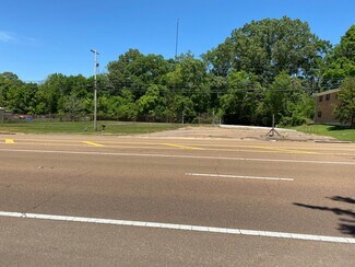 Plus de détails pour 247 Highway 61 S, Natchez, MS - Terrain à vendre