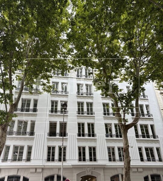 50 Cours Franklin Roosevelt, Lyon à louer Photo de l’immeuble– Image 1 sur 12
