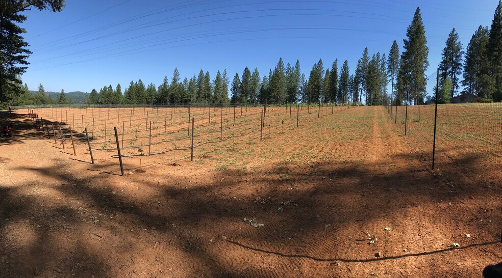 14762 Wabash Ave, Grass Valley, CA à vendre - Photo de l’immeuble – Image 2 sur 5