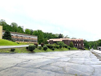 Plus de détails pour 1313 5th Ave, East McKeesport, PA - Spécialisé à vendre