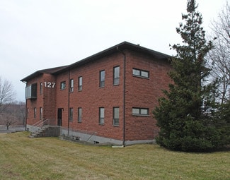 Plus de détails pour 127 Rt-59, Monsey, NY - Bureau à louer