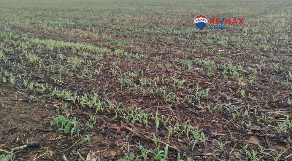 Terrain dans Mérida, Badajoz à vendre - Photo de l’immeuble – Image 2 sur 5