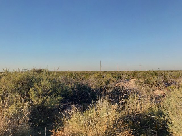 10 Acres County Road 2545, Coyanosa, TX à vendre - Photo principale – Image 1 sur 9