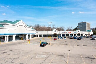 Plus de détails pour 22890-23000 Michigan Ave, Dearborn, MI - Local commercial à louer