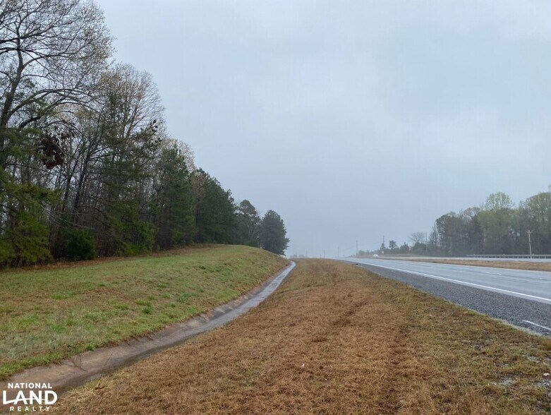 0 Highway 280, Dadeville, AL à vendre - Autre – Image 2 sur 18