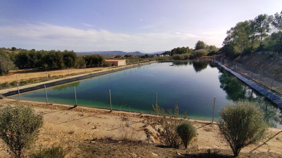Terrain dans Calasparra, Murcia à louer - Photo de l’immeuble – Image 3 sur 12