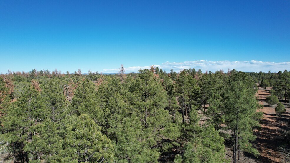 Highway 260, Show Low, AZ à vendre - Photo de l’immeuble – Image 2 sur 28