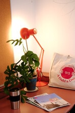 20-22 Lordship Ln, Londres à louer Photo intérieure– Image 1 sur 16