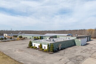 Plus de détails pour 1815 Love Rd, Grand Island, NY - Industriel/Logistique à louer