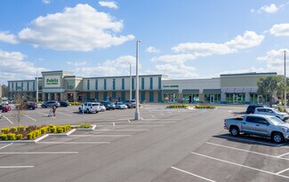 Plus de détails pour 5655 Circa Fishhawk Blvd, Lithia, FL - Local commercial à louer