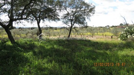 Terrain dans Cáceres, Cáceres à vendre - Photo principale – Image 1 sur 11