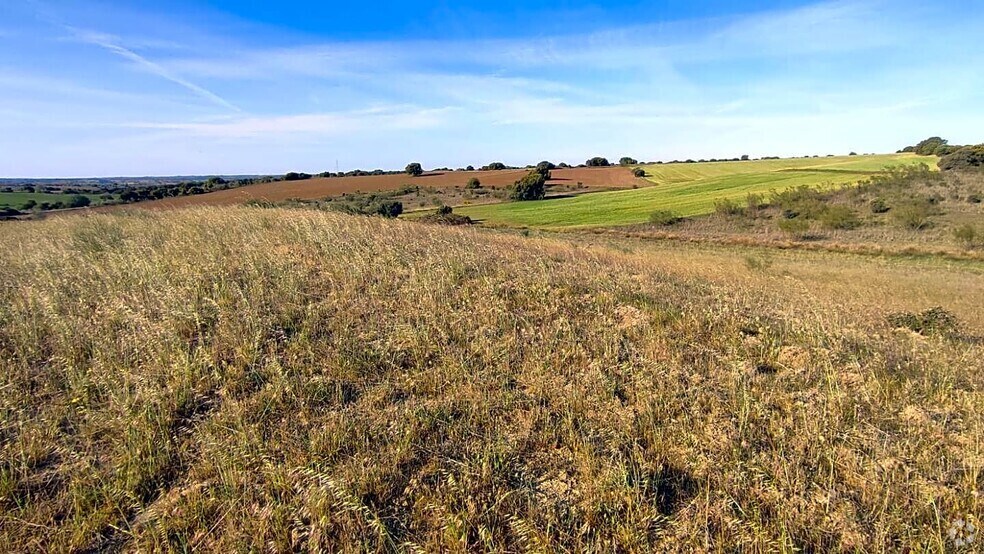 Terrain dans Villamantilla, Madrid à vendre - Photo de l’immeuble – Image 2 sur 14
