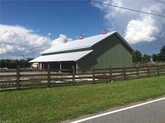 Plus de détails pour 150 Pine Ridge Rd, Mount Airy, NC - Industriel/Logistique à vendre