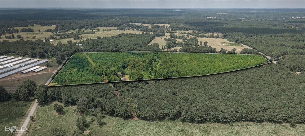 829 Barnes rd, Athens, LA à vendre - Photo de l’immeuble – Image 3 sur 36