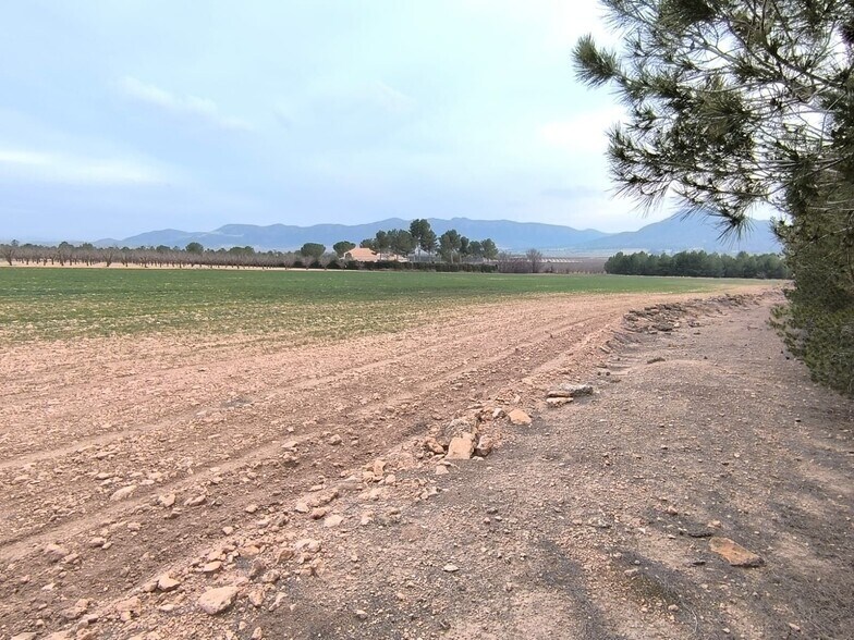 Terrain dans MURCIA à vendre - Photo principale – Image 1 sur 4