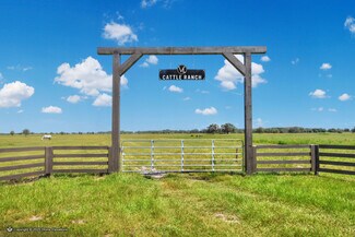 Plus de détails pour NW Limestone Heights Street, Arcadia, FL - Terrain à vendre