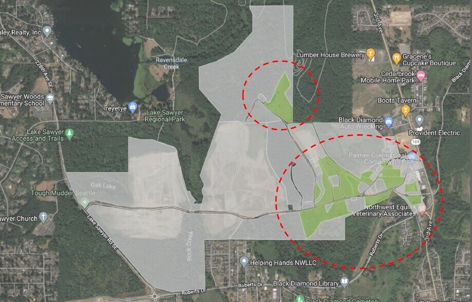 WA 169, Black Diamond, WA à louer - Photo de l’immeuble – Image 1 sur 2