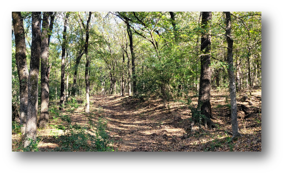 8601 Lowery Rd, Fort Worth, TX à vendre - Photo de l’immeuble – Image 2 sur 6