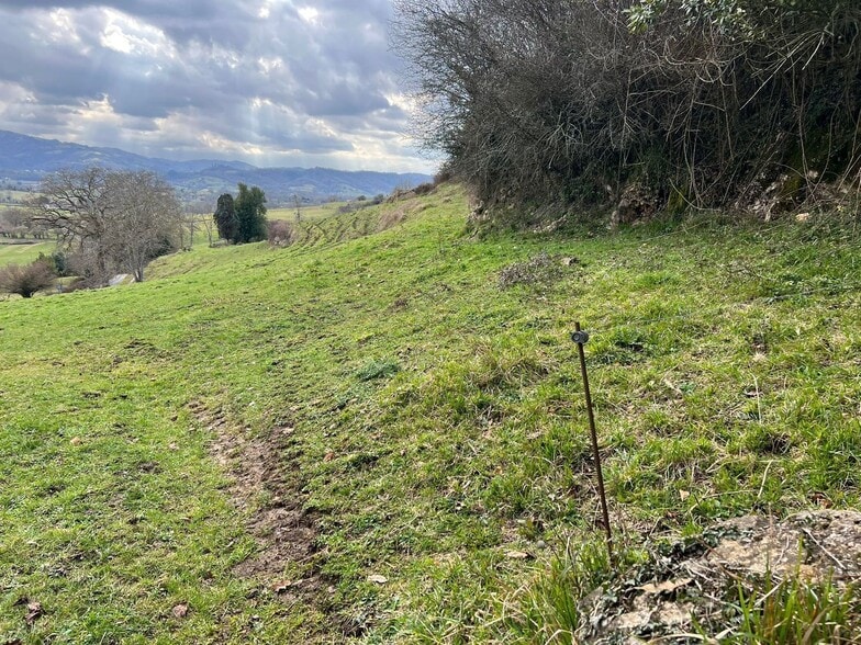 Alameda Cuenya, 25, Nava, Asturias à vendre - Plan de site – Image 3 sur 4