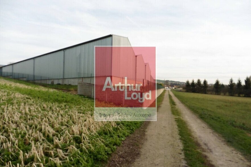 Industriel/Logistique dans Villacerf à vendre - Photo de l’immeuble – Image 3 sur 12