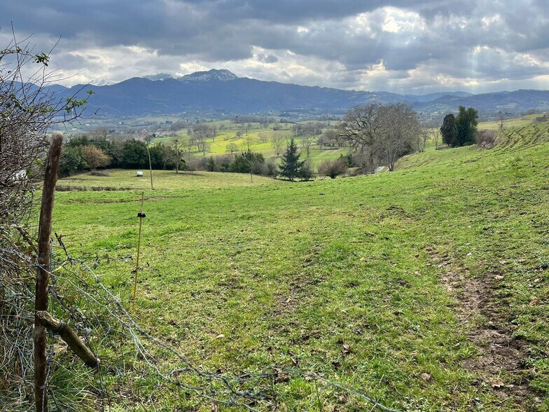 Alameda Cuenya, 25, Nava, Asturias à vendre - Plan de site – Image 1 sur 4