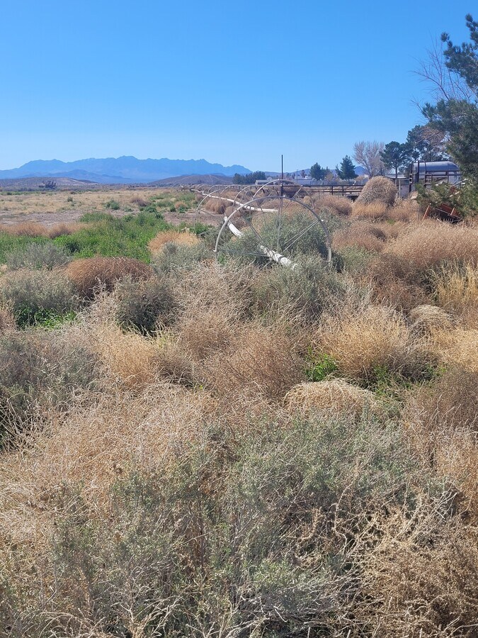 View Photo
